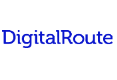 digital route logo