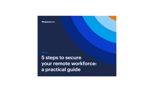 5 Steps to Secure Your Remote Workforce: a Practical Guide