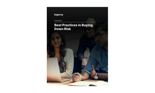 Best Practices in Buying Down Risk