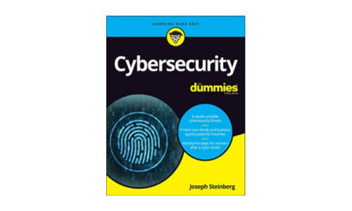 Cyber Security for Dummies