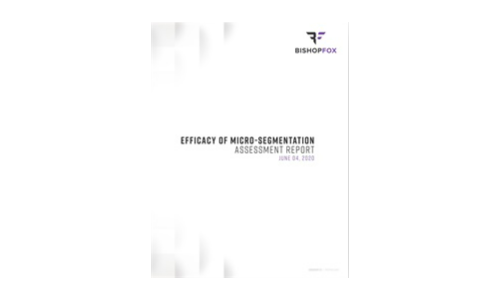 Efficacy Of Micro-Segmentation Assessment Report