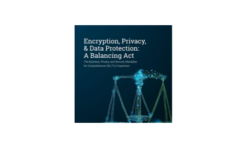 Encryption, Privacy, and Data Protection: A Balancing Act