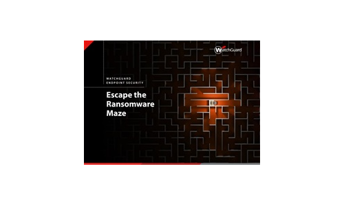 Escape the Ransomware Maze