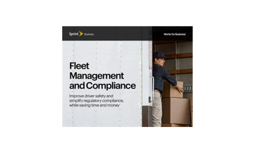 Fleet Management and Compliance Mini Guide