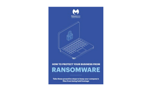 How to protect your business from ransomware