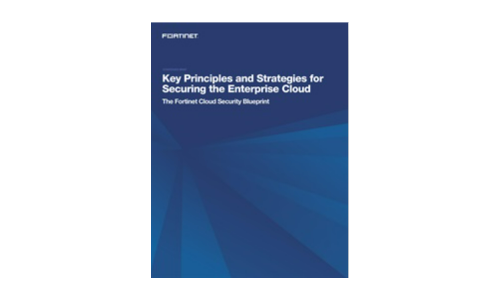 Key Principles and Strategies for Securing the Enterprise Cloud