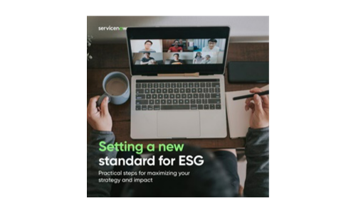 Setting a new standard for ESG: Steps to maximize strategy and impact
