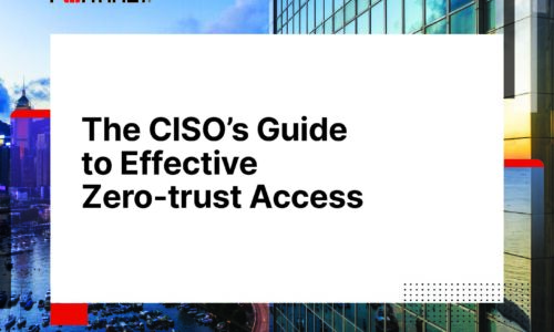 The CISO’s Guide to Effective Zero-trust Access