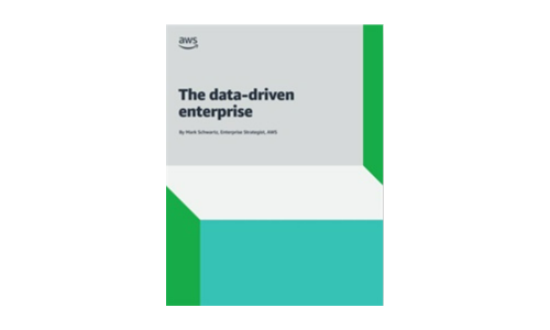 The Data-Driven Enterprise: A Guide to Maximising the Value of your Data