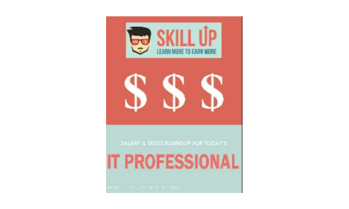 The IT Salary and Skills Report 2017 (100 Page Full eBook)